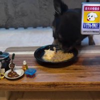 おしゃれな空間で離乳食