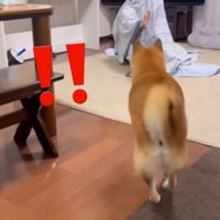 ようやく発見！