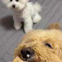 背後から圧をかける…