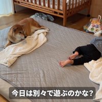 むぎちゃんは見守り役