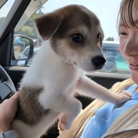 ママさんはすでにメロメロ♡