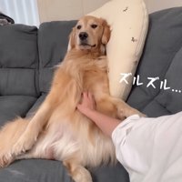 ズルズル…
