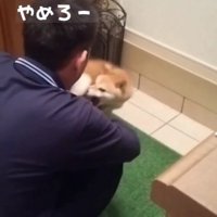 家族を噛んでしまうことも…