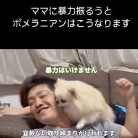 取り締まり中！