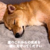 幸せになってね