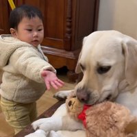 「返して！」「いいよー」