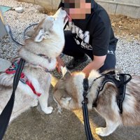 仲良し