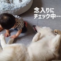 じっと見つめていたのは…