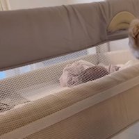 赤ちゃんを見守るエルくん