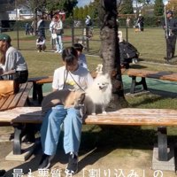 スキップ君の割り込みの手口7