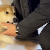 「おかえりぃぃぃ」