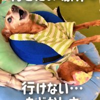 歩きたいのに歩けない