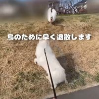 遠ざかる