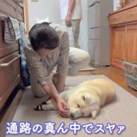 幸せそうな姿が愛おしい