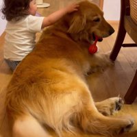 くるりと逆向きに！