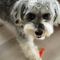 もなかちゃんの成長5