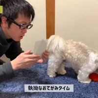 てんぽさんにおもちゃが届いたら⑩