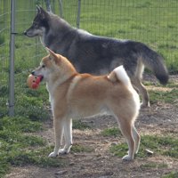 仲良し