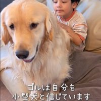 男の子に甘えるエルくん