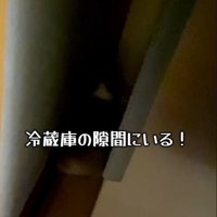 隠れてしまいました！