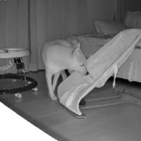 「いや、やっぱりもう1回」