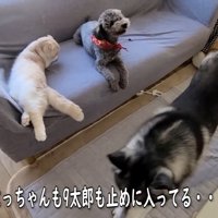 2匹の優しさにほっこり