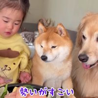 みんな興味津々♪