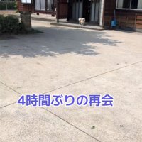 ますお君の熱烈歓迎