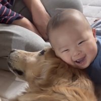 犬に顔を寄せて笑う赤ちゃん