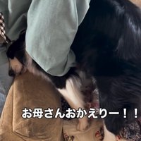 マリちゃんの熱烈歓迎9