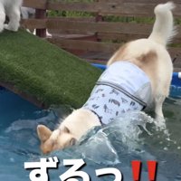 顔面からバシャァァ