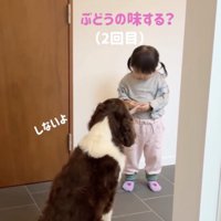 もう一度確認してみる