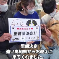 温かな家族の一員に♡