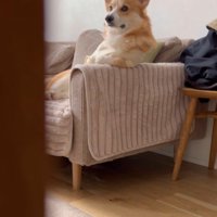 カメラに気付いた！？