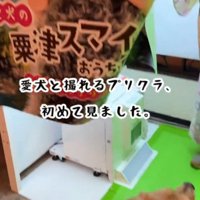 ホテルに設置されているプリクラ機