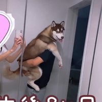 るい君の成長記録8