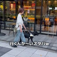 素通りするかと思いきや…