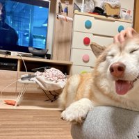 無邪気