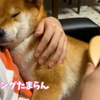 「気持ちいい～」とうっとり…