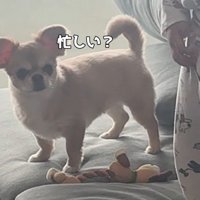 構ってもらえず、しょんぼり…