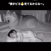 「僕たちがいるから大丈夫だよ！」