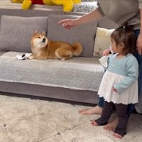 「うにはいい子だったよね？」