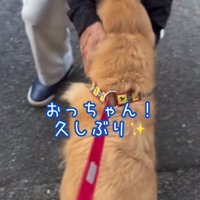 おっちゃんと再会するゆずくん