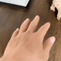 手を伸ばす同居人