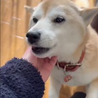 大喜びでお出迎え♪