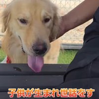 蹴られても我慢していた