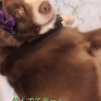 「ここで寝ると気持ちいいよ」