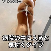 動物病院だった！！