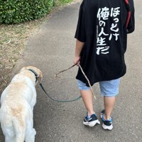 幸せ
