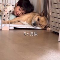 安心できる日常へ…